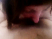 Соси шалава