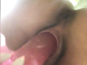Amallllia