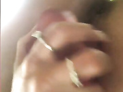 Amallllia