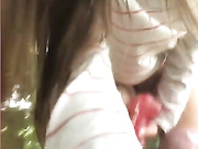 Amallllia