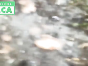 Lusi19