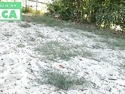 Lusi19