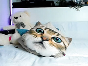 Sonjashy