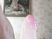 Лаура (Донецк)