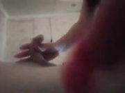 Лаура (Донецк)