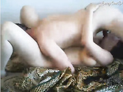 Wirth_pair