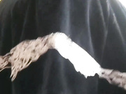 bongacams