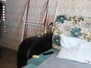 barsikmeow