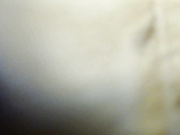 Goddess_Niki (bongacams 26.10.2021) - 1