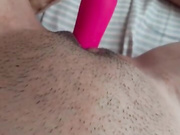bird-titmouse