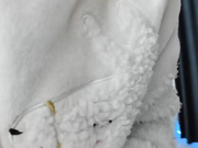 sweetcobra 2021-12-08