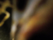 stacimarierose 11-01-2021