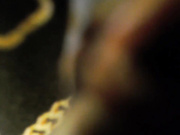 stacimarierose 11-01-2021