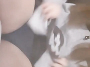 Запись экрана шоу