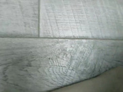 albinainsti-10