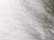 albinainsti-11