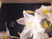 Бессонница