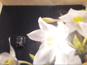 Бессонница