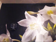 Бессонница