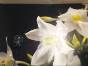 Бессонница