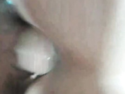 Stasyara1