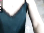 Nentis_