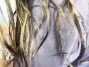 lexyaddams69