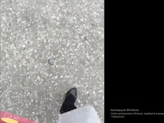 Akula778