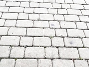 Amallllia 16.08.2021