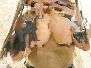 VikiCute