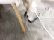 ____-_-____, loloannet