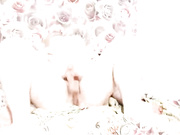 Funny002 наездница