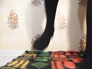 6KORALINASHE6