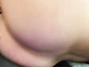niksova1