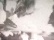 lusi19