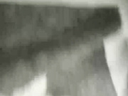lusi19