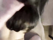 LekfullKitten