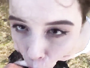tweetyhous