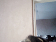 nika_la
