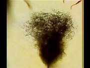 волосатая рунетка