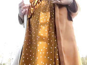 LadyDimitrescu
