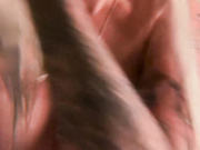 Succubdiana (Диана Шурыгина)