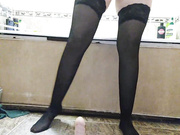 sweet-cat