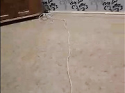 Катя (Катяра, Ека Ека)