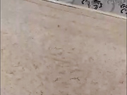 Катя (Катяра, Ека Ека)