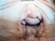 xoralamoralx