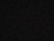 Blackcat11133