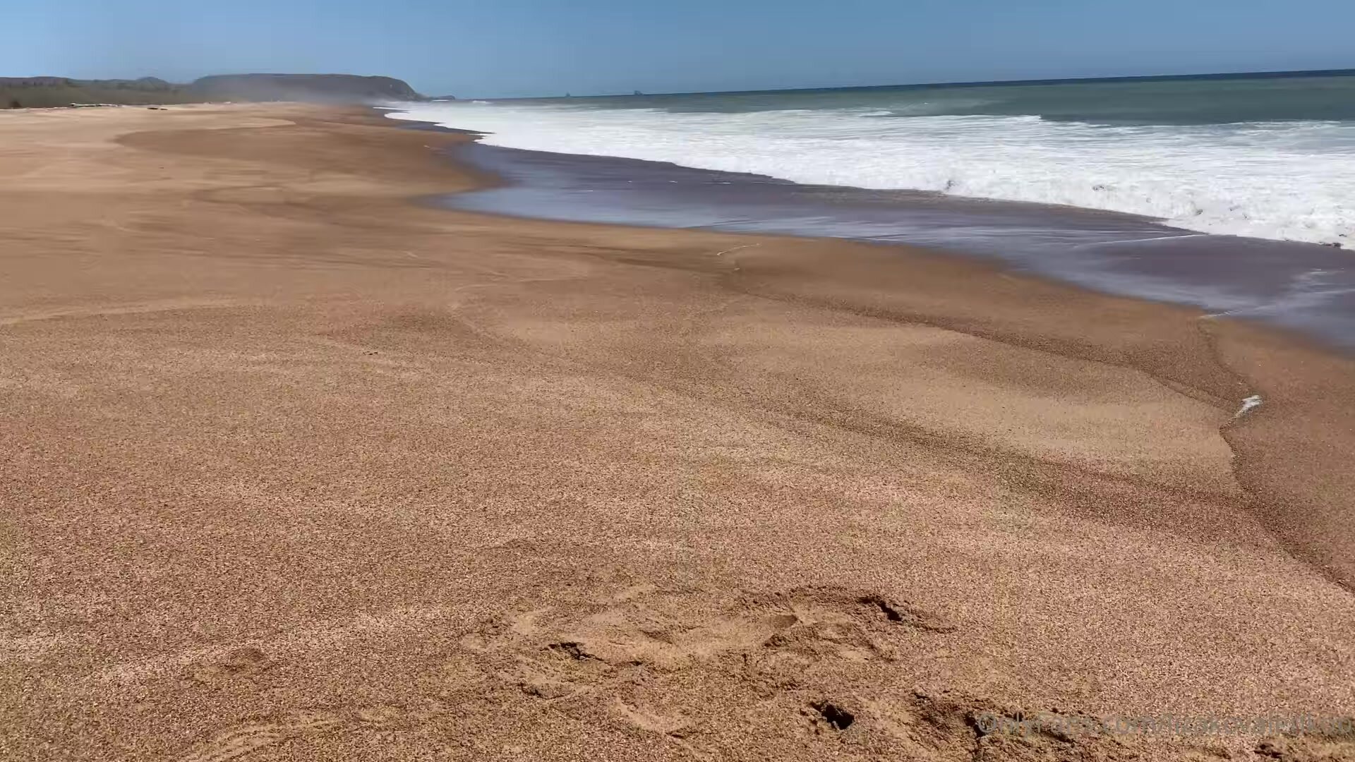 Лиза Коваленко