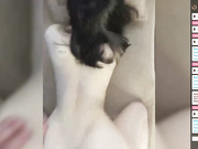 LekfullKitten