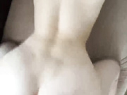 LekfullKitten